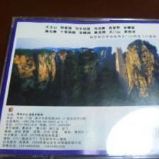 魅力张家界，山水传天下——从第三届中国-东盟博览会看《畅游天下》的音像杰作